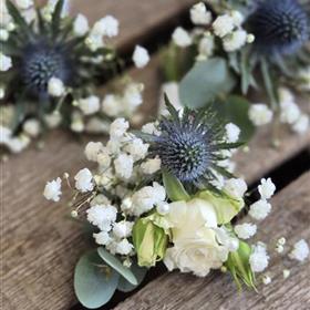 fwthumbButtonholes 1.jpg